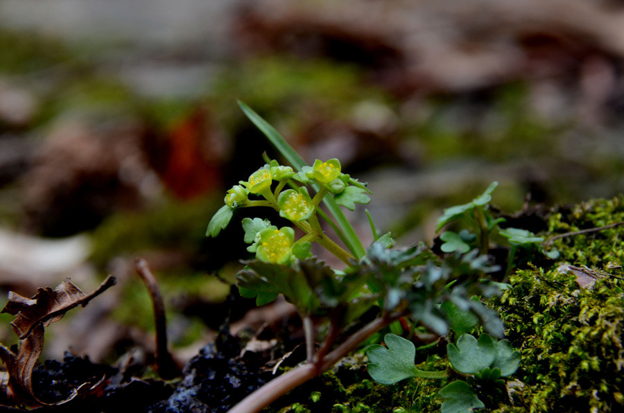 아직은 찬기운이 가득남았다.