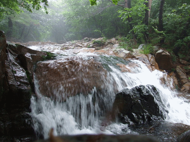 그리운 바다 성산포-이생진/낭송:박 인희
