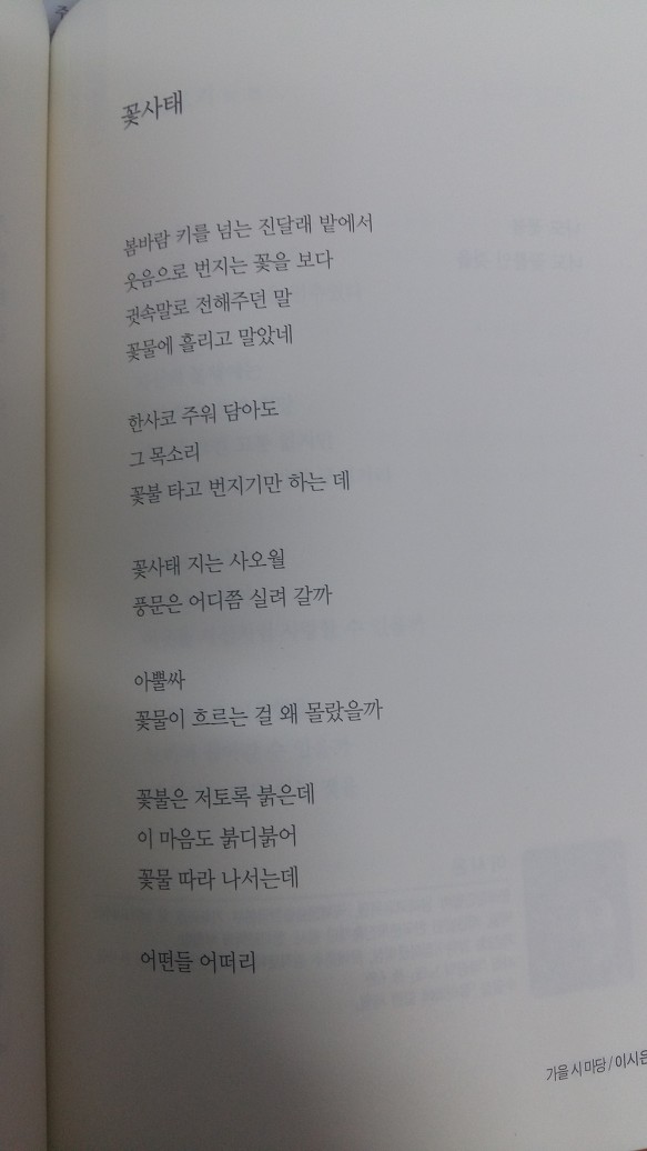 해변의 품. 꽃사태/ 이시은 (착각의 시학)