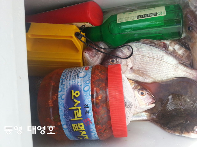 대영호]억수로 내리는 비와너울속에서~