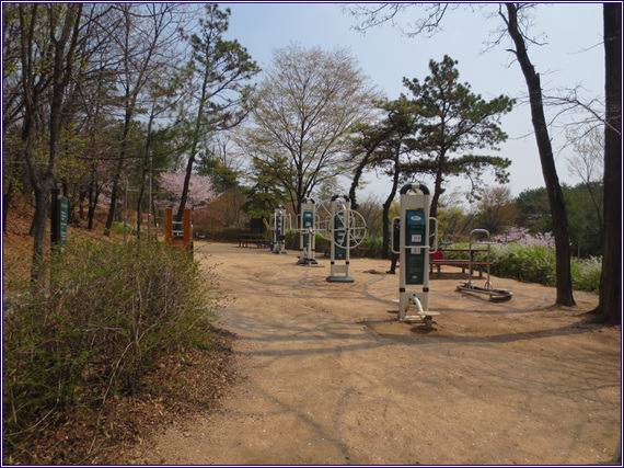 초록숲 이미지