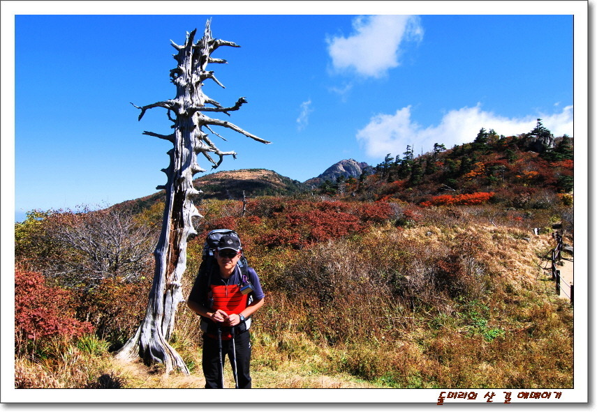 지리산의 가을
