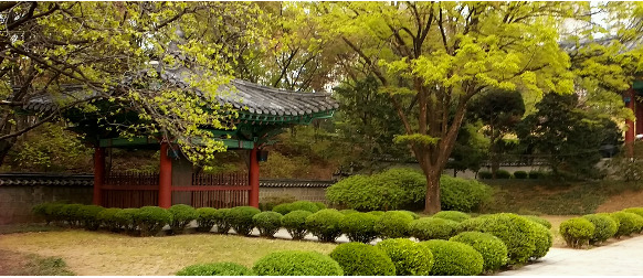 먹거리천국 이미지