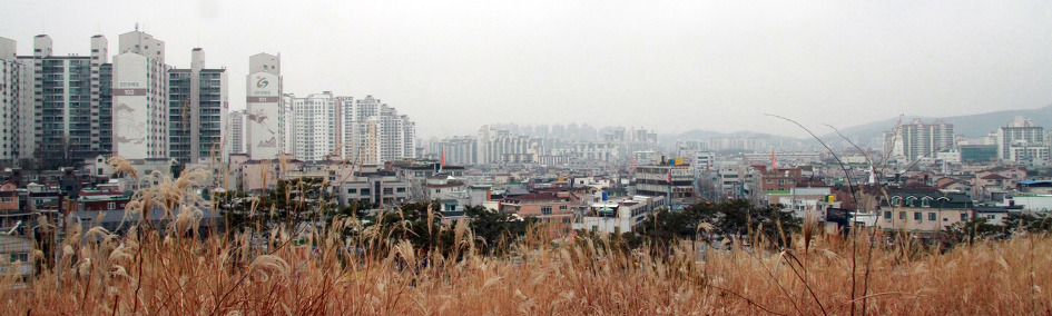 수원화성통닭 이미지