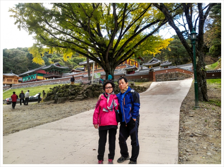 백운산 휴양림, 치악산 구룡사에서 달콤한 힐링~~