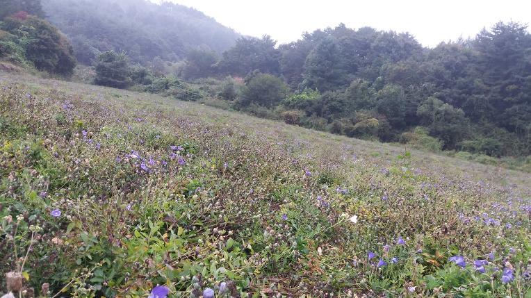으뜸유통 이미지