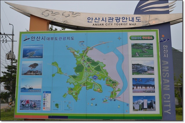 안산갈매기 이미지