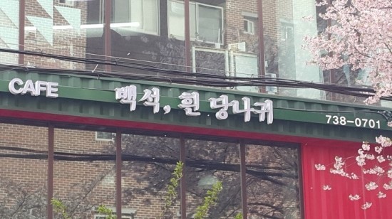 흰당나귀 이미지