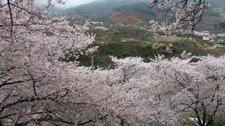 구름꽃 이미지