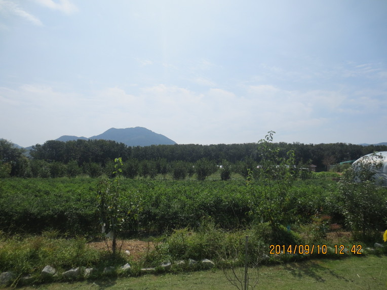 잔디밭 이미지