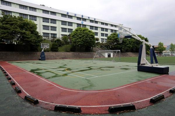 푸른교육 이미지