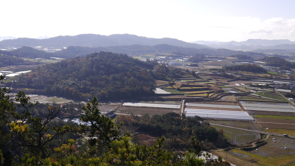 영산농산 이미지
