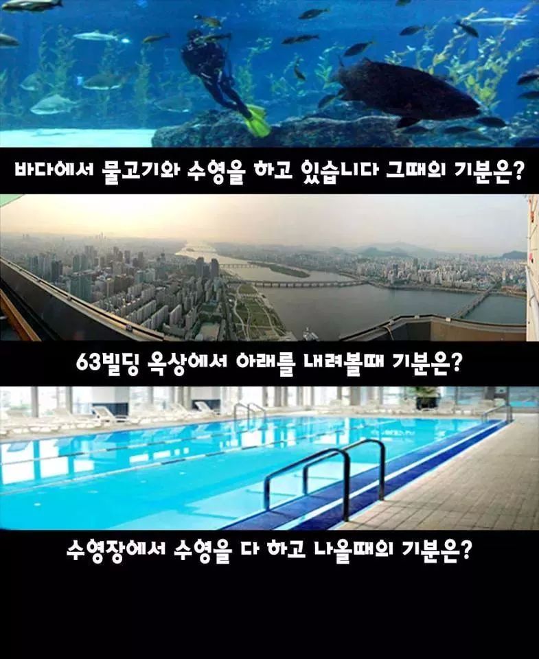 재미있고 간단한 성욕구 성관계 심리테스트