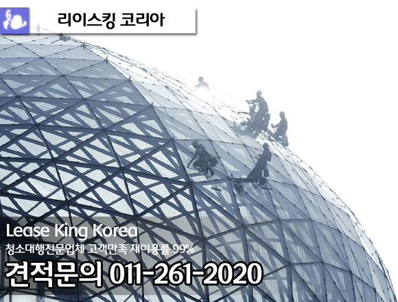 리이스킹 이미지