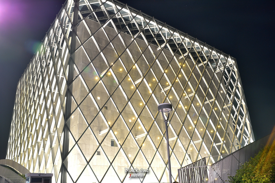 잊지마(Pattern 109)-세종신도시 호수공원