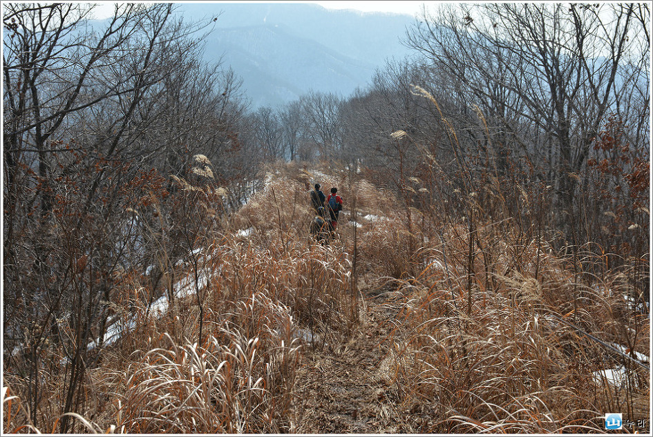 몽덕산 ~ 가덕산 ~ 북배산 겨울 종주산행(15.1.24) 인기 백대명산 제72위