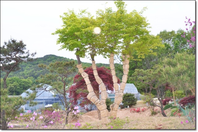 유림농원 이미지