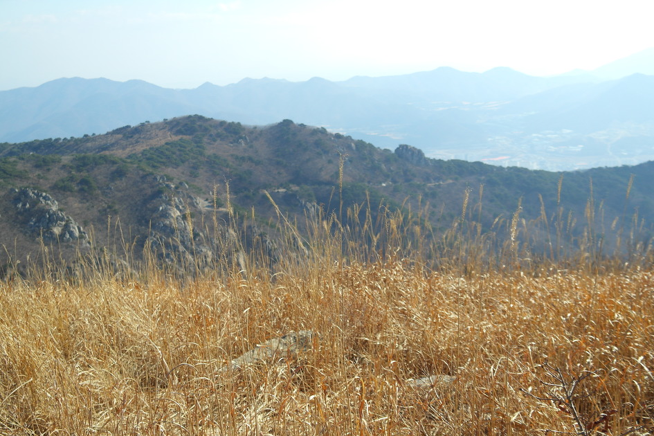 천성산(원효봉) ~ 천성산2봉(비로봉)