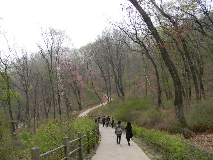 서울의 포근한 뒷동산, 남산 (한국인의 미소, 남산 산책로, 근래 개방된 한양도성 남산약수터 주변 구간)