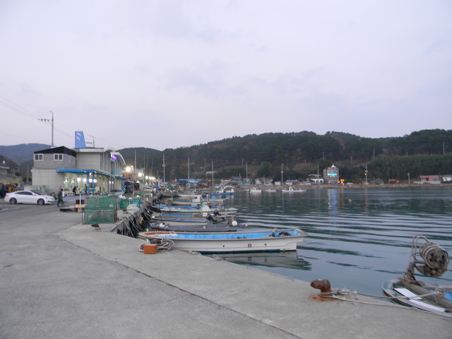 울산 당사항 (당사항의 야경)