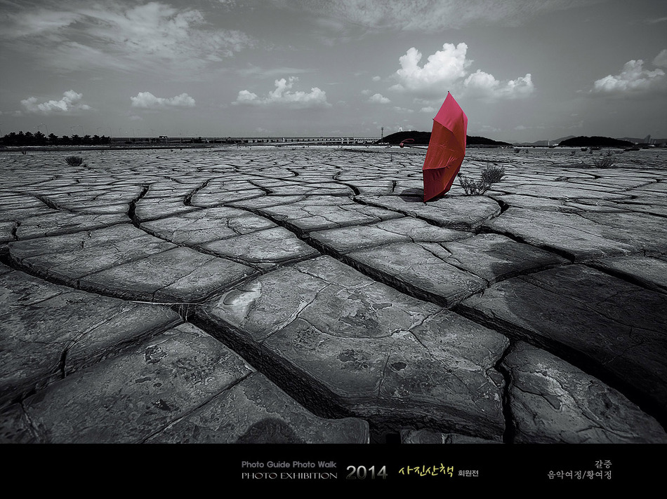 사진산책 회원들의 사진전시회