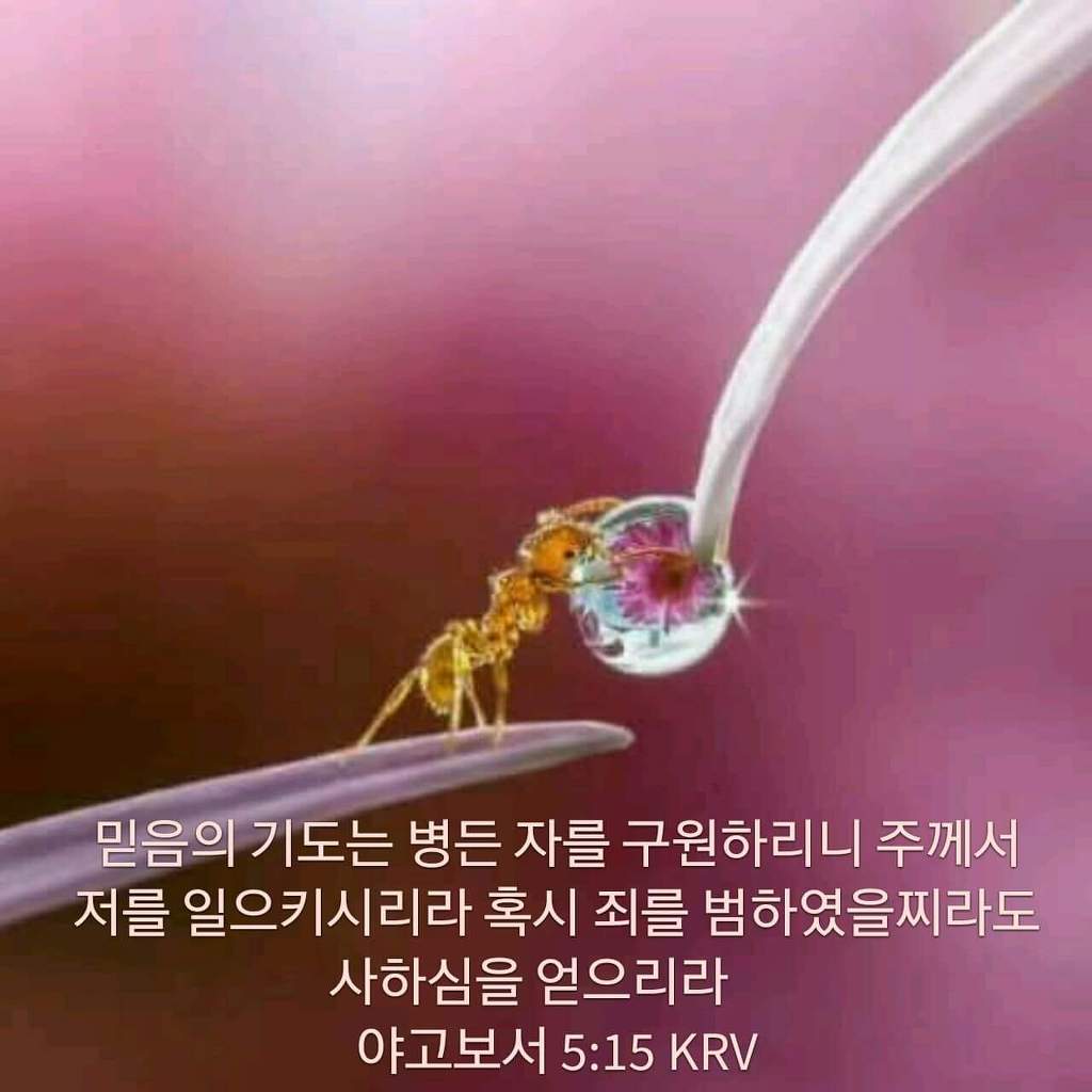 삶에 힘이되는 은혜로운 성경말씀 모음(+) 사진첨부