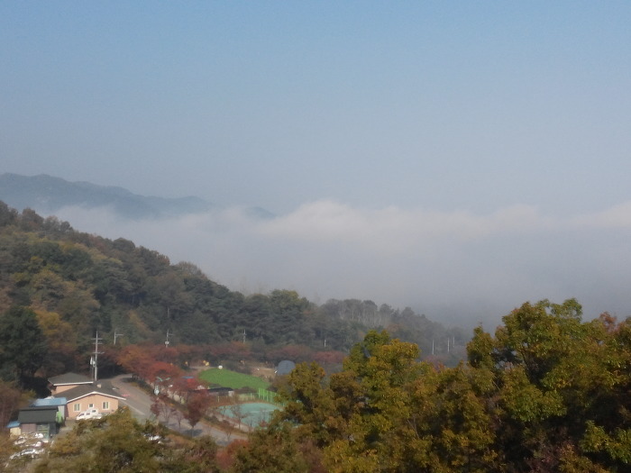 옥성 자연휴양림 풍경