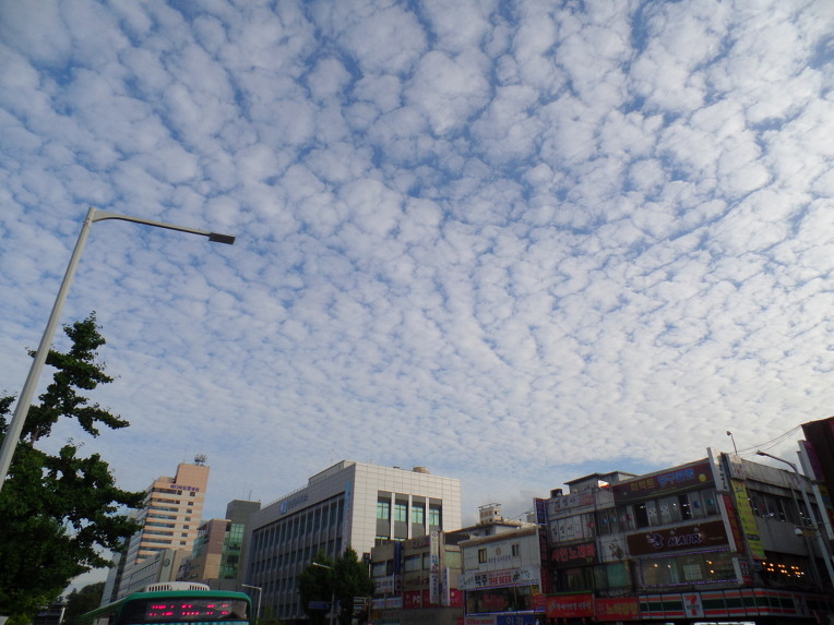 미련없이 그 장소를 버리고 허공으로, 운수납자(雲水衲子)로 묘사된 백조