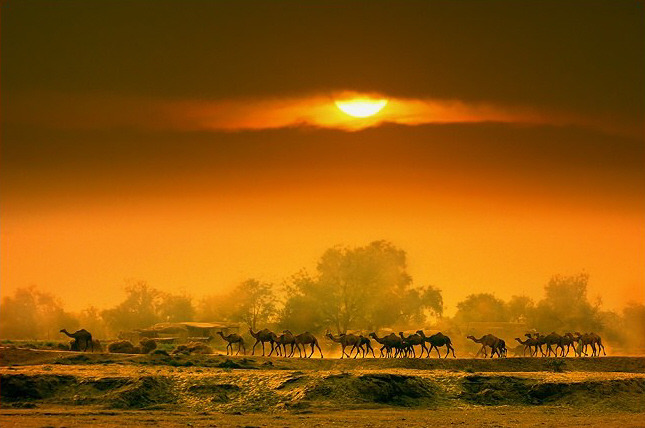 2638E73F5206C44D2098C3