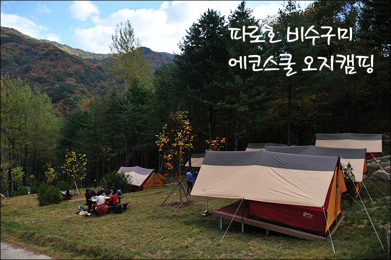 화천에코스쿨 생태체험장 이미지
