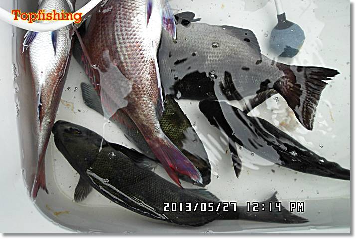 2674F23851A435CA213D90