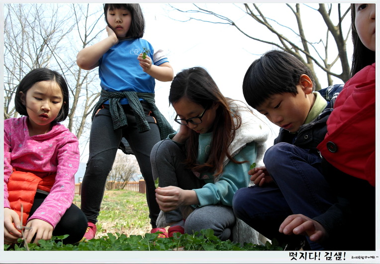 우리학교는 들꽃 천국입니다.