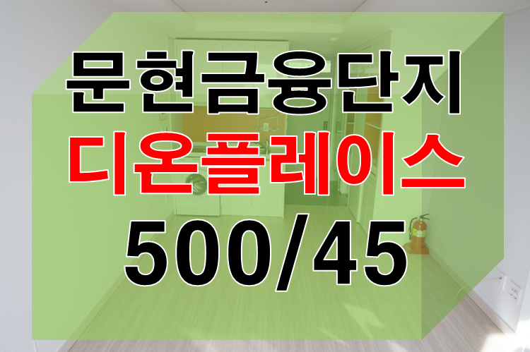 디온플러스 이미지