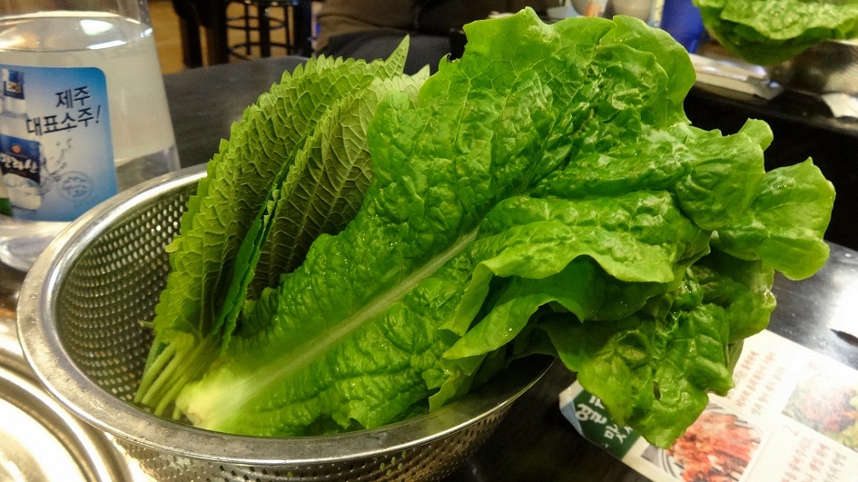 재주도여행 마지막날 제주산 돼지고기로 마무리한다