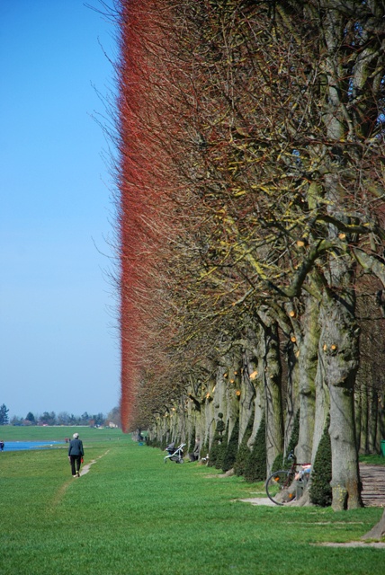 베르사이유 궁전 즐기기