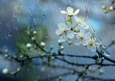 2767F43354D583BD3A13BA