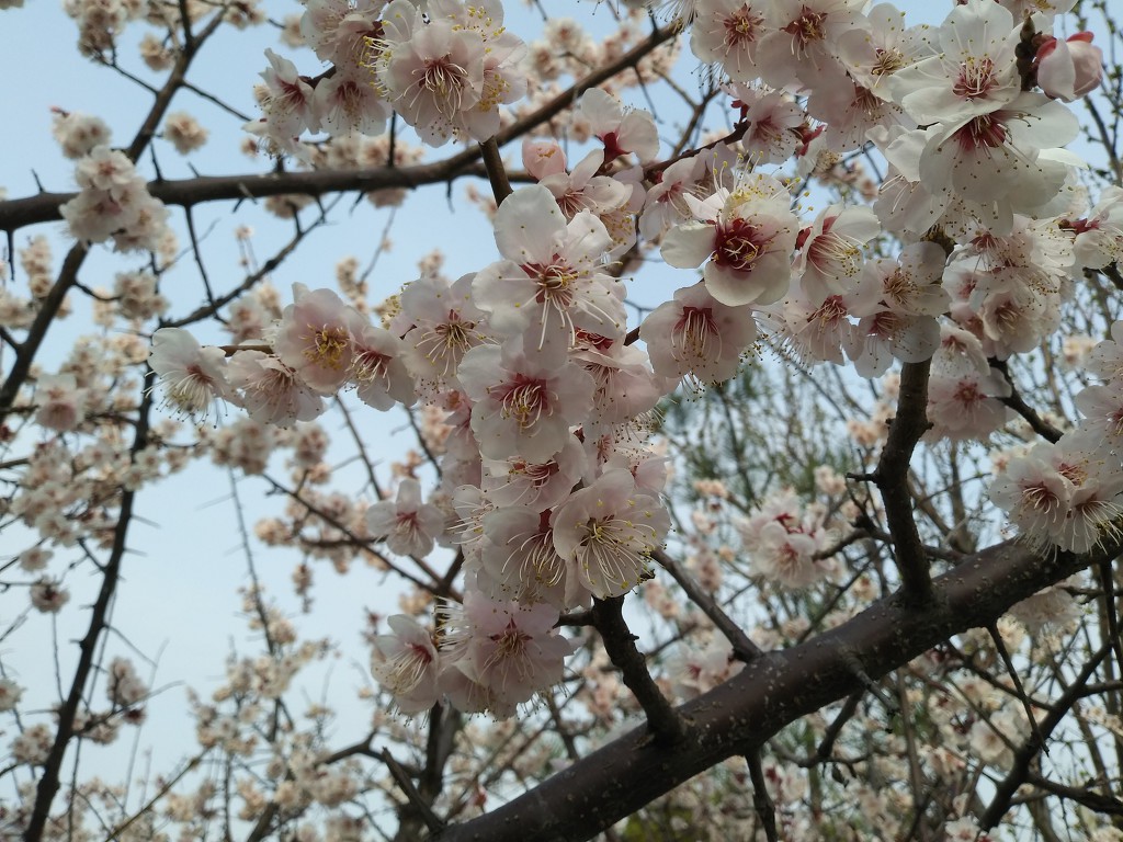 19.4.6(토)