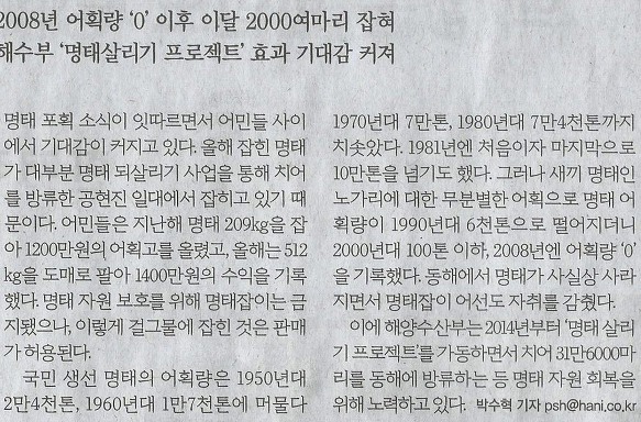 명태나라 이미지