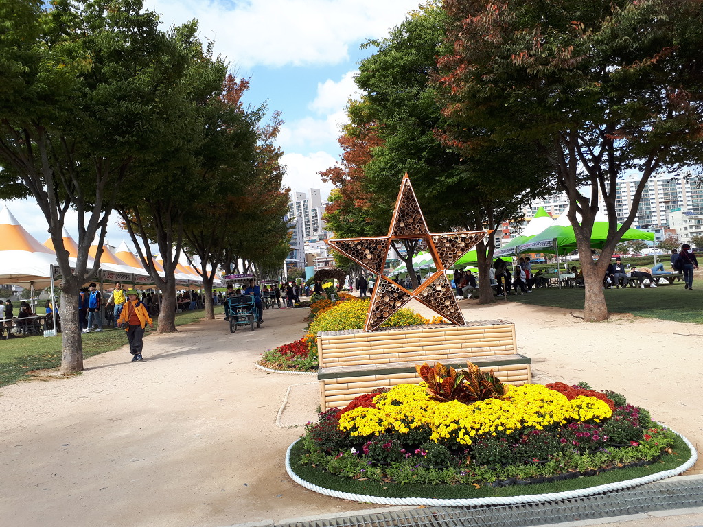 2017.10.22.태화강변 국화꽃