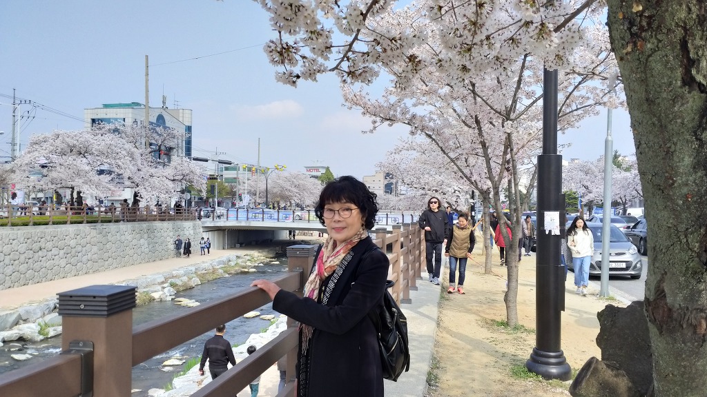 벚꽃따라걷는길