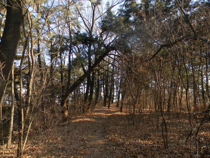 성두산에 조성된 백제시대 산성 유적, 구성동산성 (갑천)