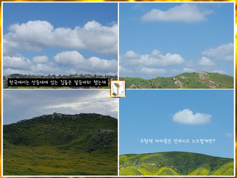 미안해 정말