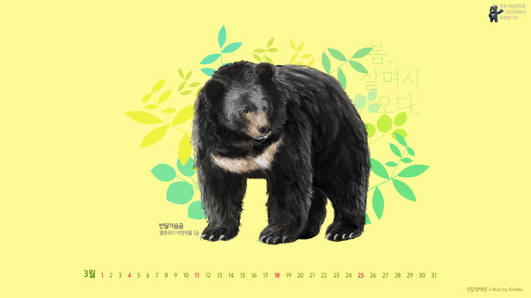 멸종위기알기_배경화면_반달가슴곰