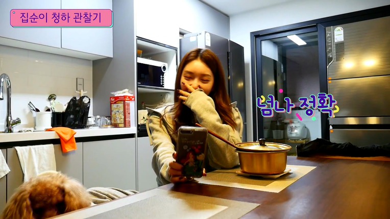 집순이 김청하의 하루 | 인스티즈