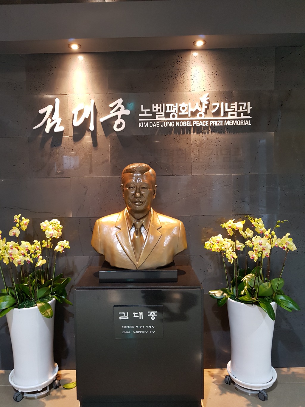 선지지견학