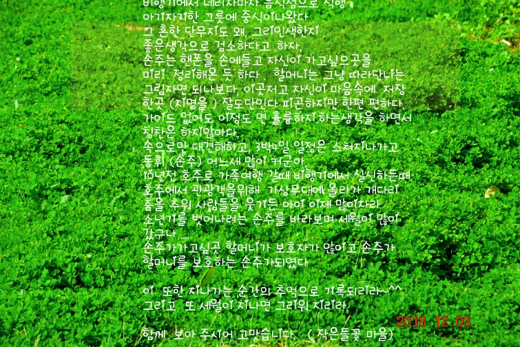 손주와(일본) 오키나와를가다 
