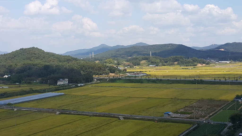 가을하늘