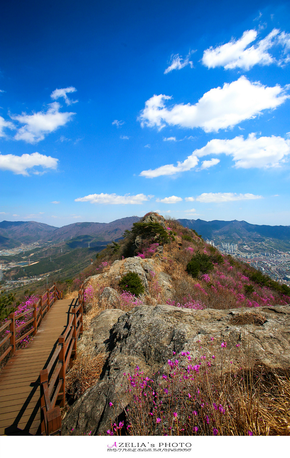 경남 진해 산행(1부)/장복산(덕주봉)&산벚꽃.진달래 핀 멋진 능선길을 따라서 .. 【19년3월31일】 