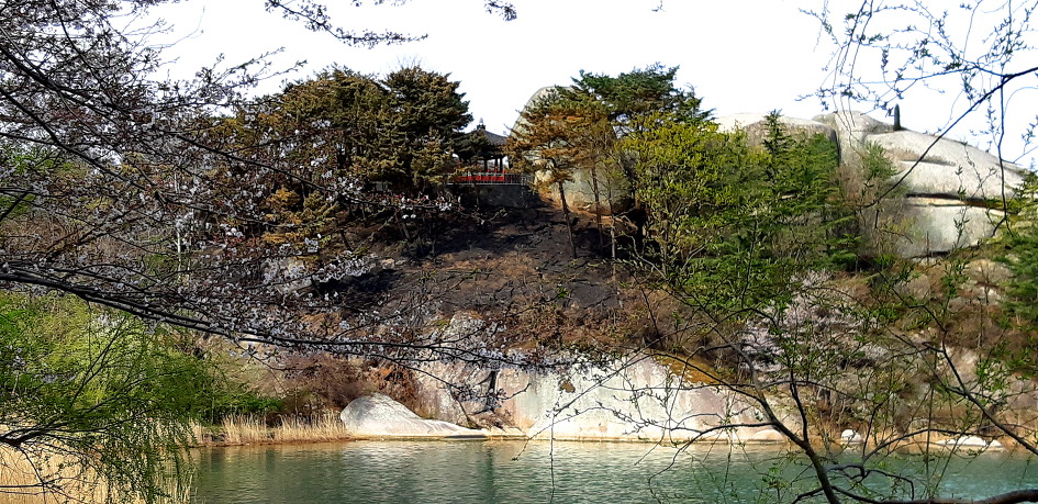 오랜만에 딸네 집으로 마실을 갔습니다.