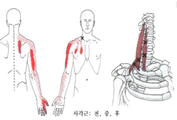 마디들 이미지